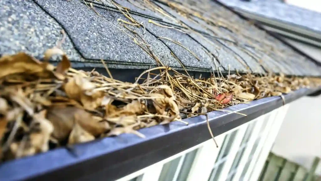 gutter repair services