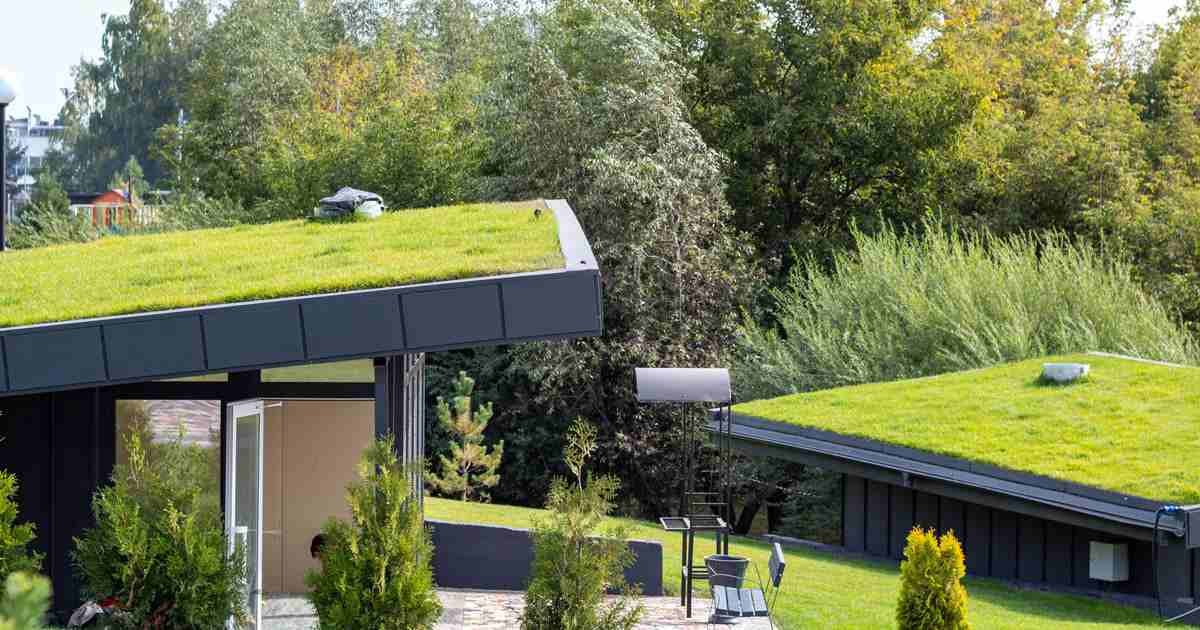 The Environmental Benefits of Installing a Green Roof in Louisville
